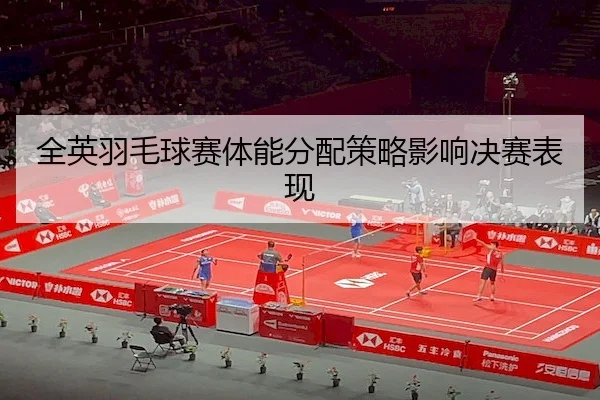 quan-ying-yu-mao-qiu-sai-ti-neng-fen-pei-ce-lve-ying-xiang-jue-sai-biao-xian-2-140.jpg